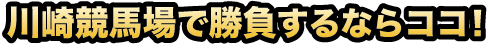 川崎競馬場で勝負するならココ！