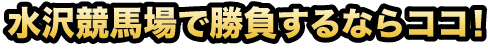 水沢競馬場で勝負するならココ！