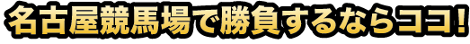 名古屋競馬場で勝負するならココ！