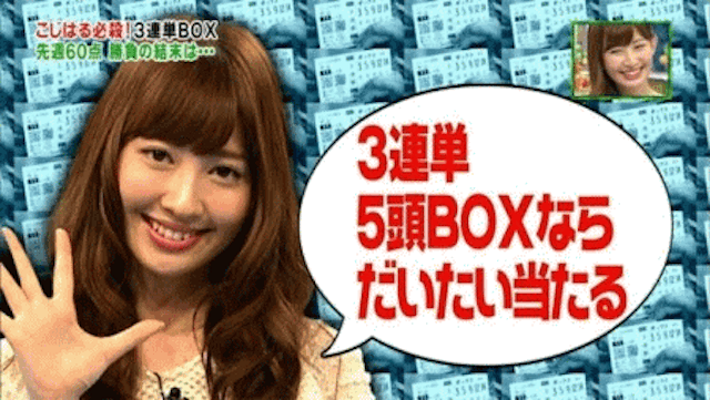 芸能人競馬 小嶋陽菜2