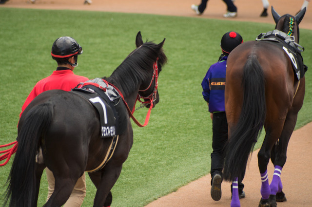 競馬で勝つ方法　パドックでの馬の状態確認画像