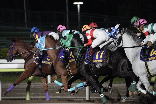 あぶの競馬予想を大井競馬で検証