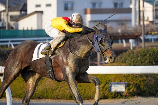 地方競馬は八百長が多い