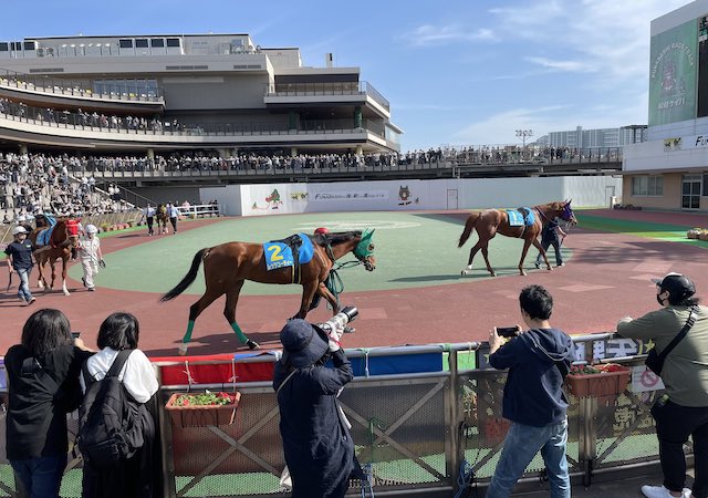 地方競馬の八百長事件ランキング