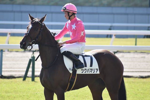 岩田望来騎手が落馬で怪我をする