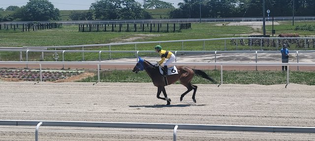 笠松競馬のその後１