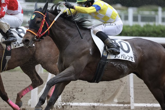 笠松競馬の八百長について