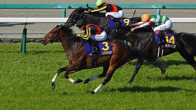 競馬における八百長とは