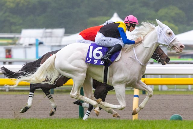 競馬における八百長の仕組み