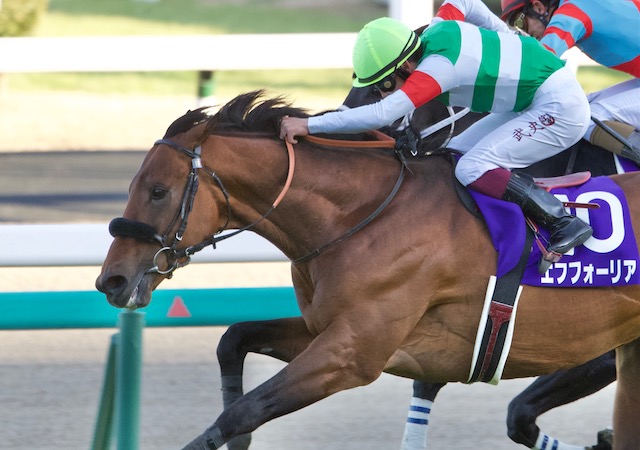 競馬八百長　アイキャッチ