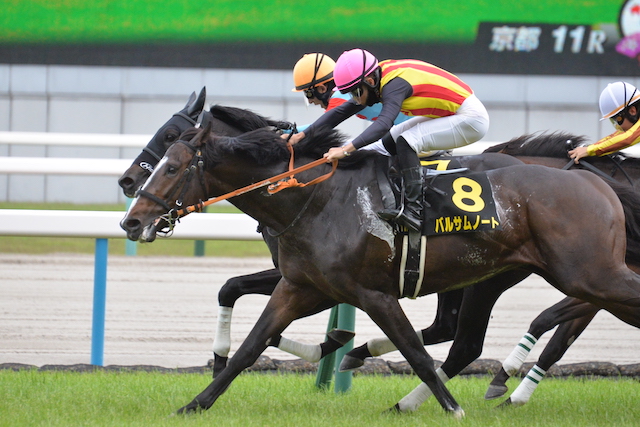 西村淳也騎手は押し切るレースが特徴