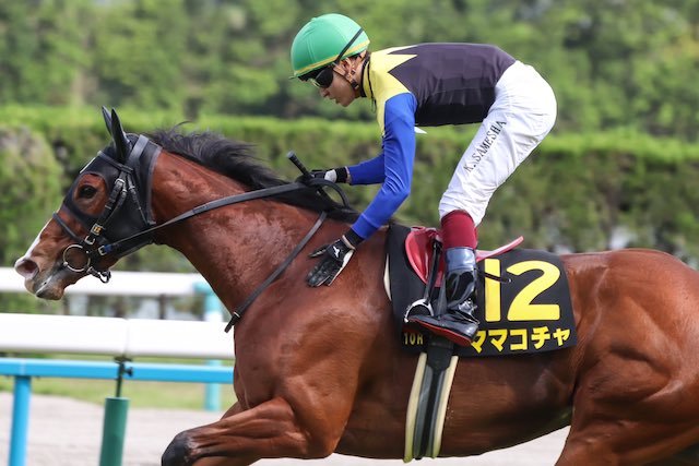 鮫島騎手の特徴について