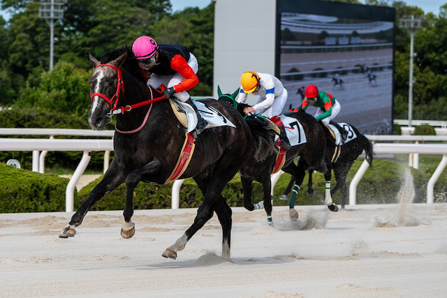 園田競馬の八百長事件