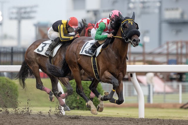 中央競馬八百長事件について