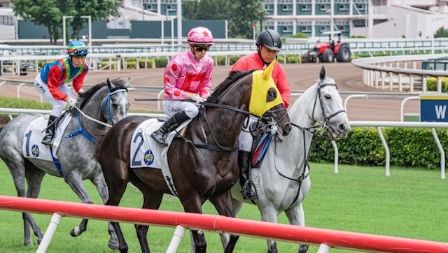 中央競馬で起きた八百長事件3選