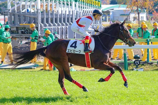 地方競馬　騎手　八百長