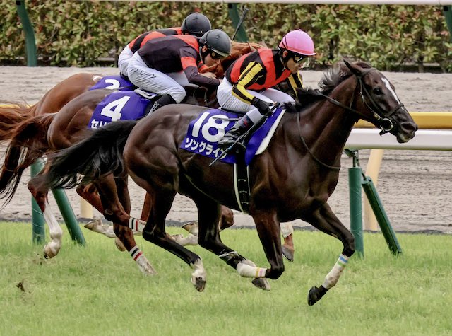 競馬で勝てない理由の1つ目