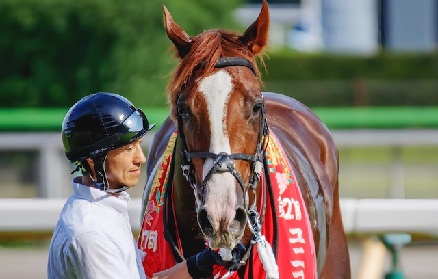 競馬における万馬券とは