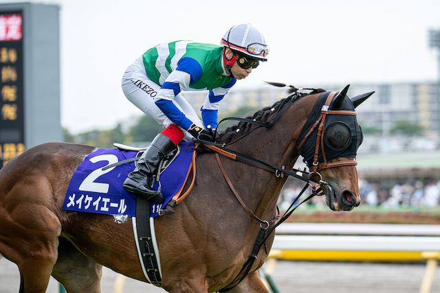 競馬で大勝ちした人の体験談をご紹介