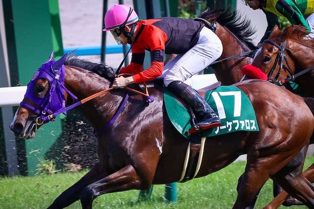 松山弘平騎手の高校について