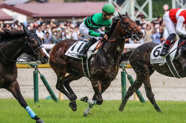 松山弘平騎手の通算成績