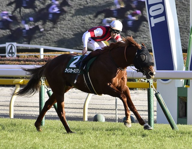 関西馬の勝率が高い