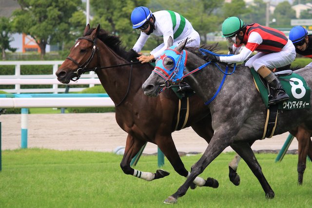 難易度の高いレースは避ける