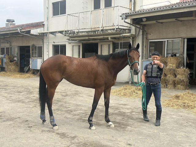 休養する有力馬が多い