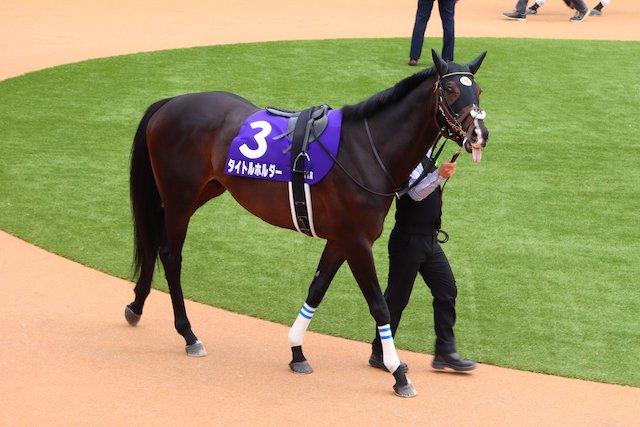 2歳馬を狙いに行く