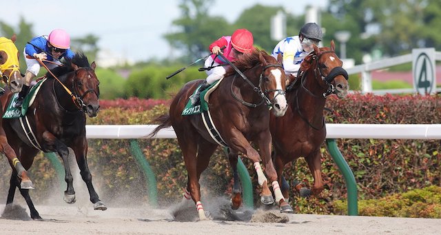 夏競馬のアイキャッチ