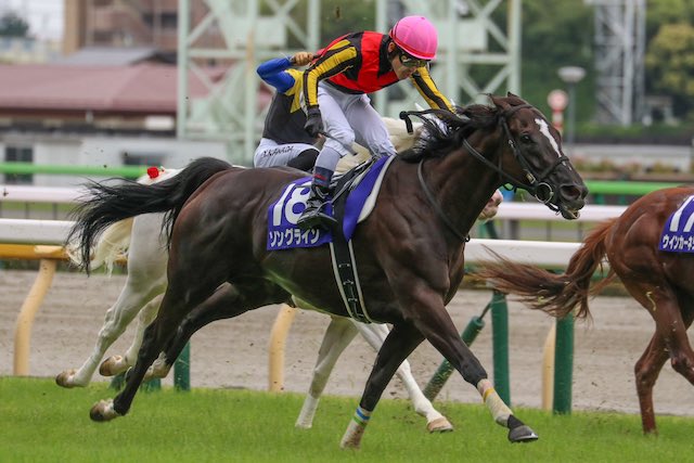 戸崎圭太騎手まとめ