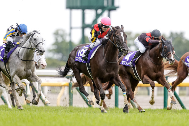 2019年11月4日のレースで落馬をして骨折する