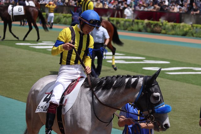 2023年5月7日のレースで落馬をし負傷する