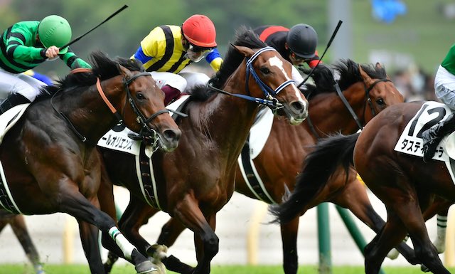 横山武史騎手の通算成績