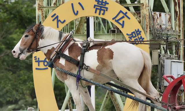 ばんえい競馬とは