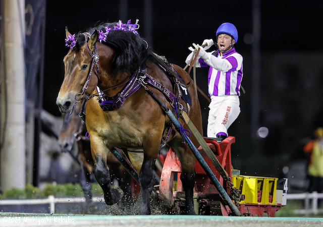 ばんえい競馬のアイキャッチ