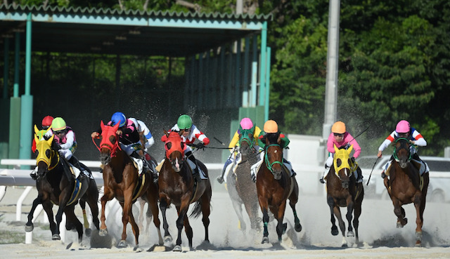 馬のレベルが低い
