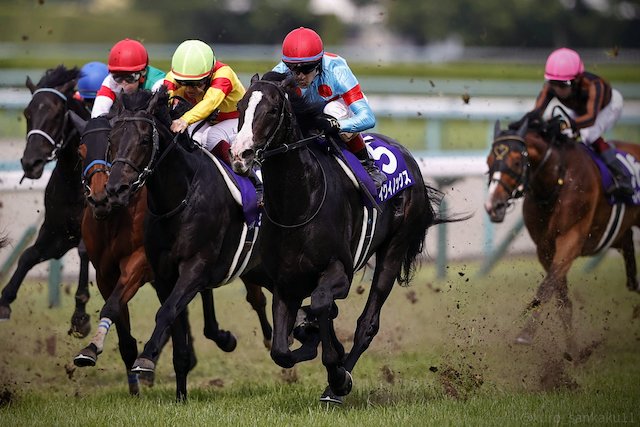 複勝における出走頭数別の的中確率