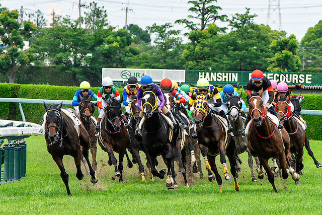 8頭立て以上のときは3着までが的中