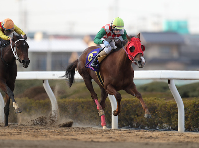 地方競馬では軽視されがち