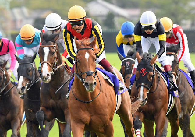 競馬　大金持ち　アイキャッチ