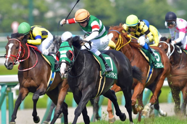 競馬はハマりすぎると危険