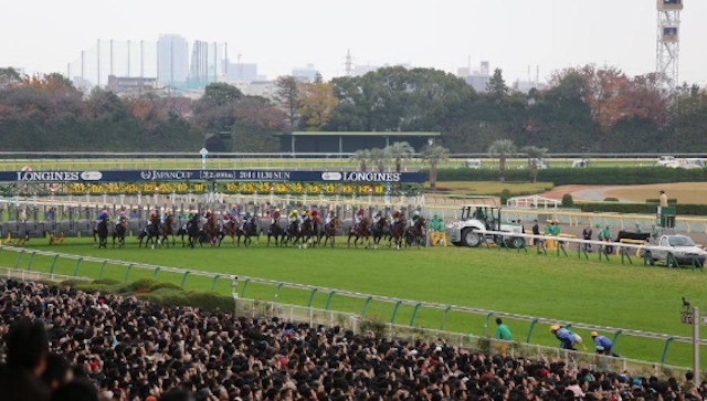 競馬の楽しみ方1