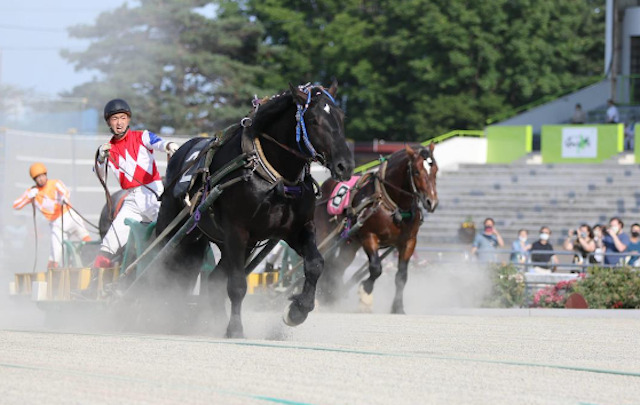 競馬を100円で楽しむコツ2