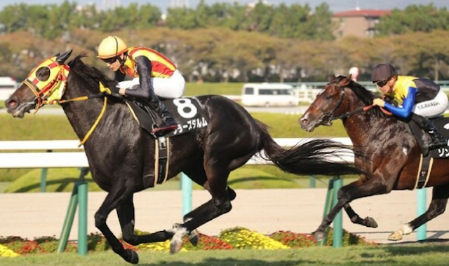 競馬を100円で楽しむ際の注意点2