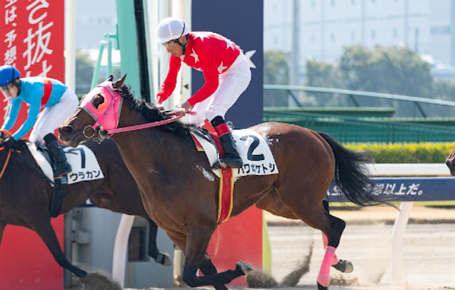 地方競馬における100円馬券の過去最高額は2848万円