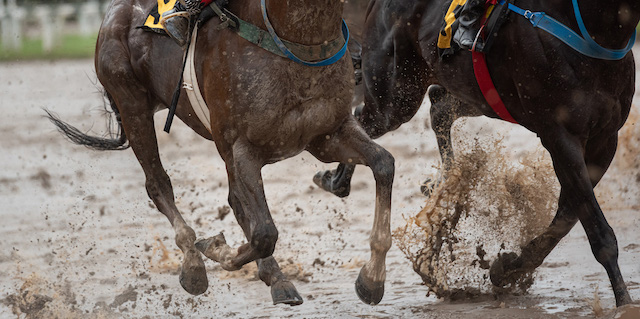 競馬の不良馬場とは何かを紹介する画像