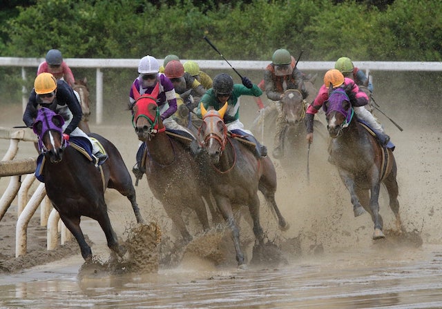 不良馬場に強い血統・産駒を押さえることを紹介する画像