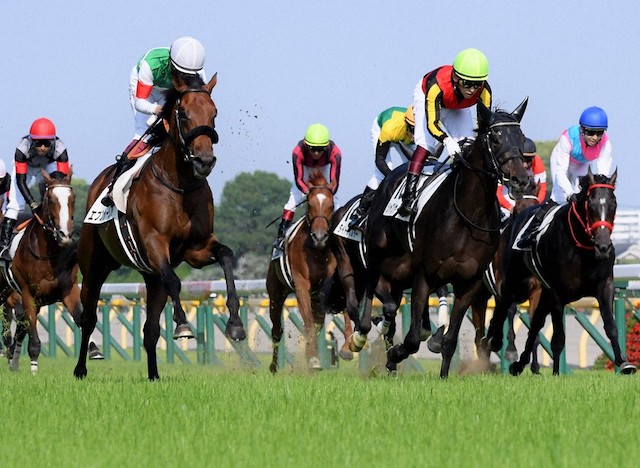 競走馬の平均時速は約60キロということを紹介する画像