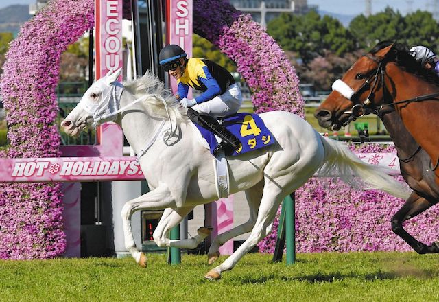 競馬の脚質の決まり方を紹介する画像